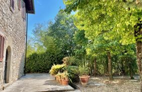 Birello Immobiliare