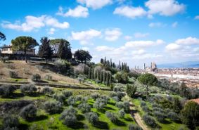 Birello Immobiliare